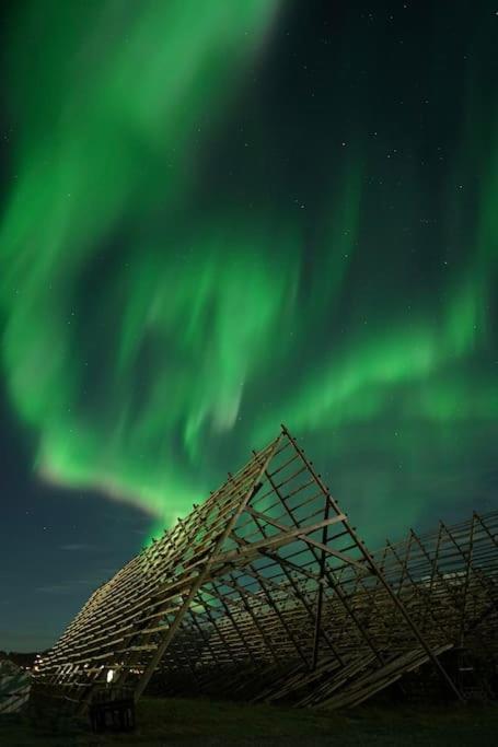 Lofoten Holiday Kabelvåg Kültér fotó