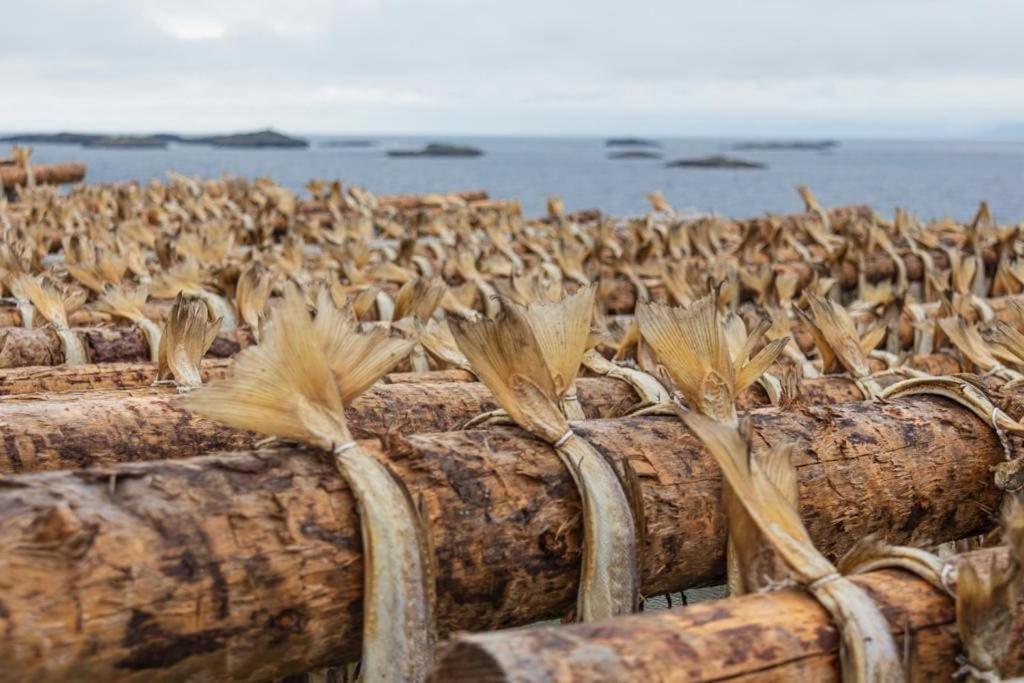 Lofoten Holiday Kabelvåg Kültér fotó
